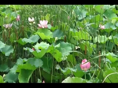 LanTu TREE Voyah coche gratis Voyah SUV coche eléctrico 520KM carga rápida 0.5H