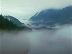 Vehículo eléctrico de SUV libre de Voyah