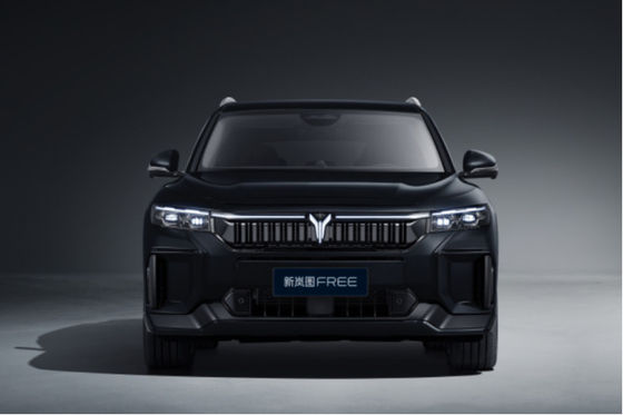 Dongfeng FREE versión 2025 318KM SUV mediano a grande, alcance completo CLTC 1458KM